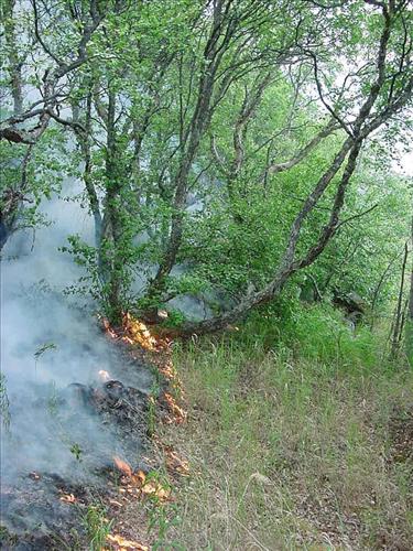 Bay of Island Fire, Naknek Lake, Katmai National Park, July 2001