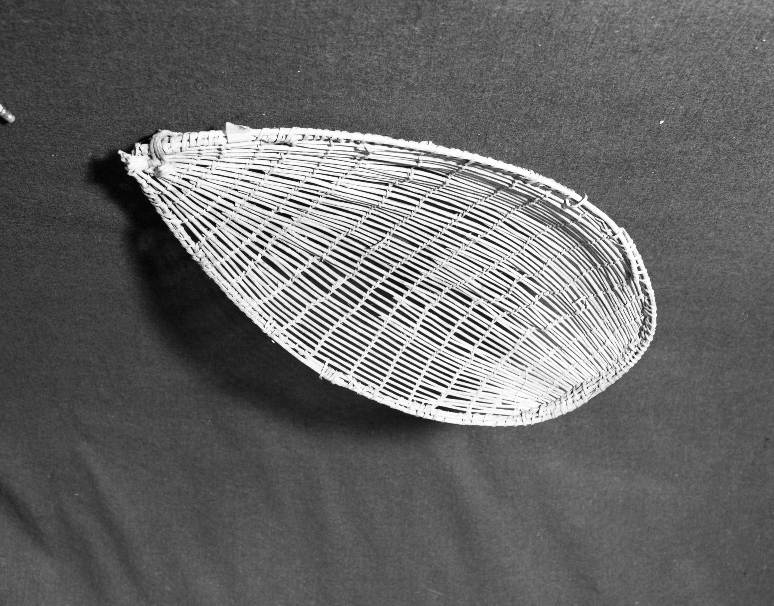 Marie Rozier Collection, Catalog No. 104. Object: Paiute sifting tray (?). Dimensions: 22 x 12". Materials: willow sheets, split willow, commercial reed. Technology: plain twine, up to right slant of turns in both split willow shoots and commercial reed. Collection History: Used by Carmelita Ralph. Purchased from her sister Louise Fuentes, Central Miwok. Photographed by Michael Dixon, Dec. 1982. Catalogued by Craig Bates and Barbara Beroza. Yosemite Collections, National Park Service.