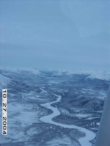 9 Gates of the Arctic National Park and Preserve Koyukuk Moose Survey 2004