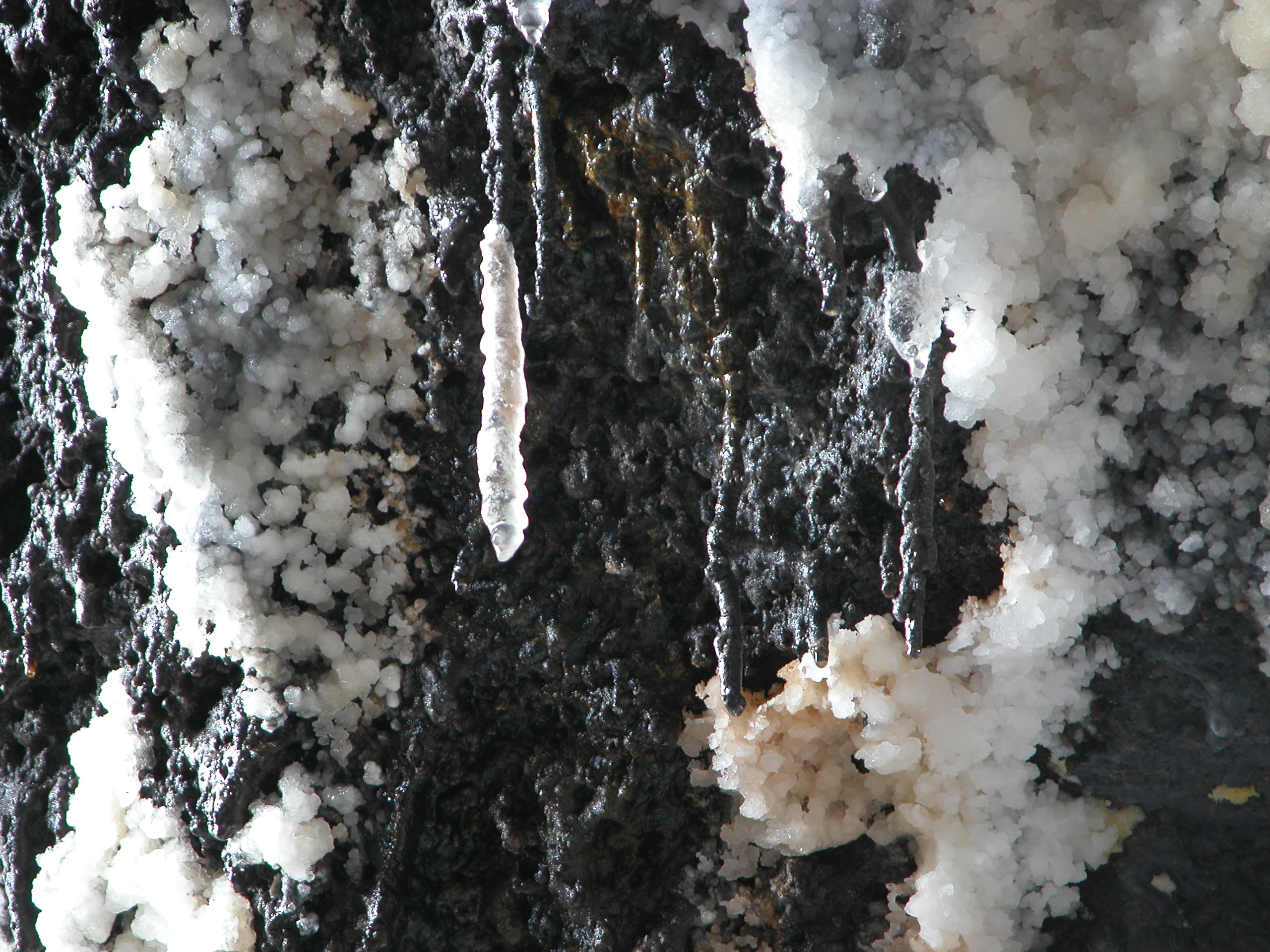 close up of clusters of white crystals growing in a cave. 