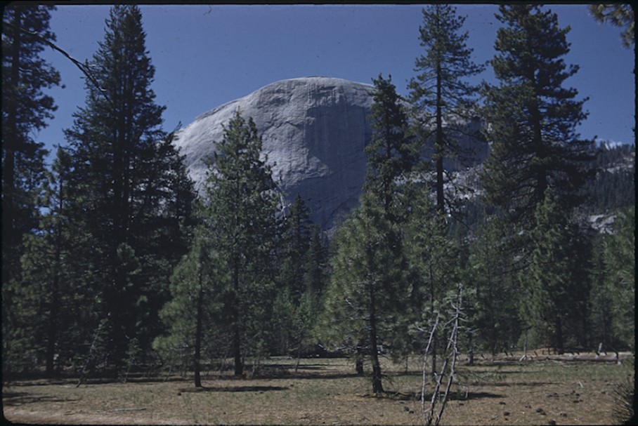 Half Dome from Little Yosemite Valley