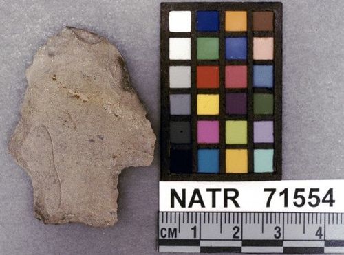 NATR   71554 -- Ledbetter Cluster projectile point