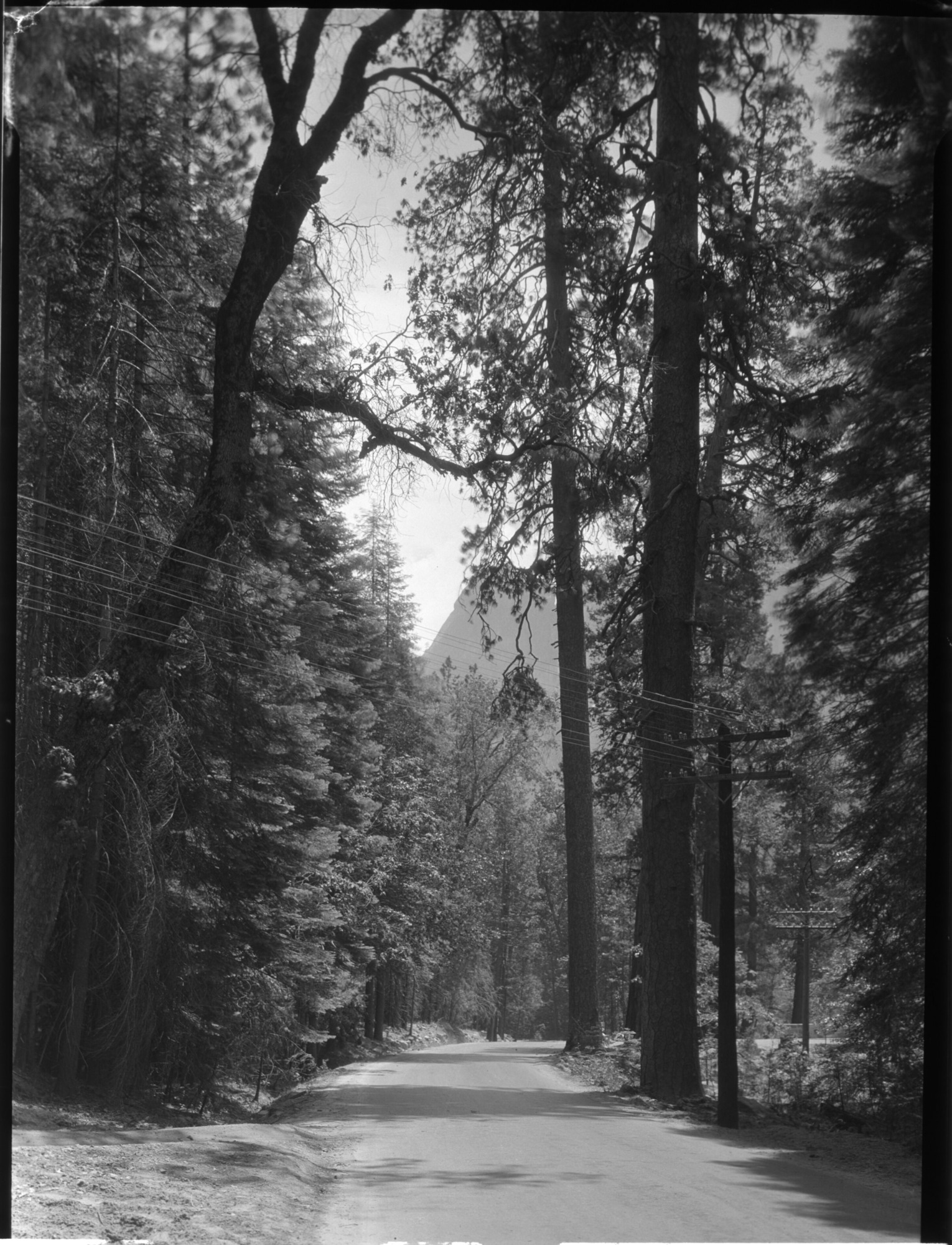 Power & Telephone Lines