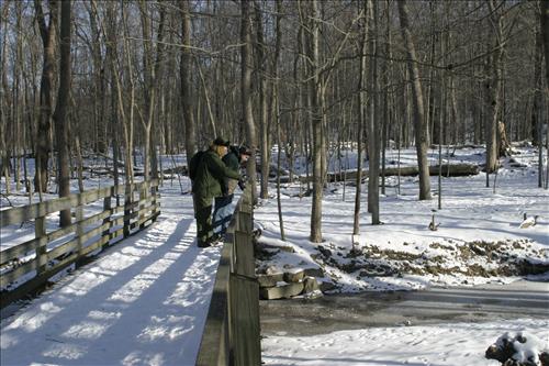 Winter Hiking at Stanford