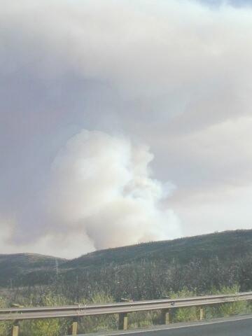 Heavy white and dark smoke in distance views of the Long Mesa Fire at Mesa Verde National Park, July-August 2002