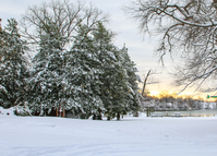 Batch of trees covered in snow next to a river during sunrise