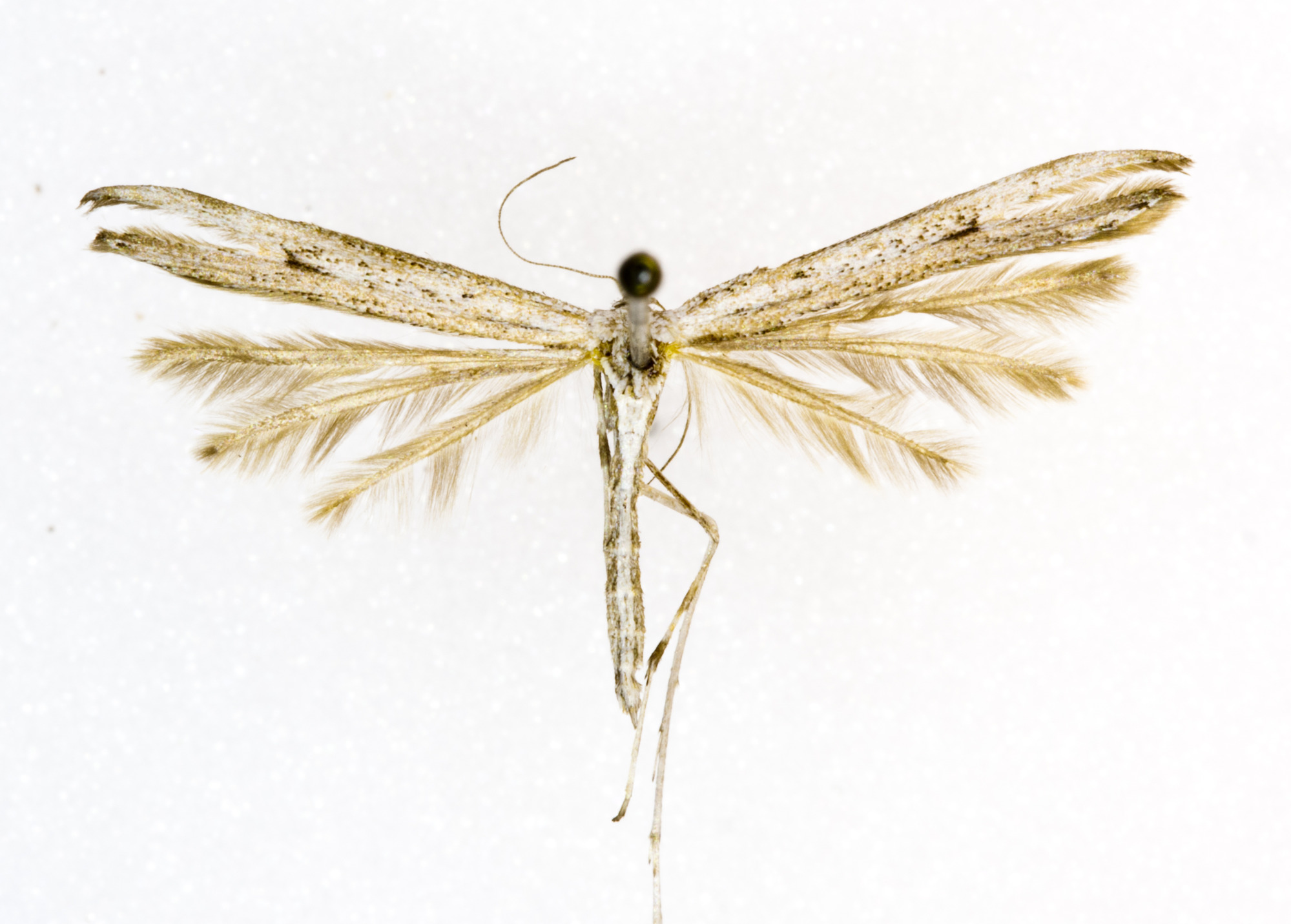 Grand Canyon Museum Collection
Address: 2 Albright Ave, Grand Canyon Village, AZ 86023
Phone: (928) 638-7769
https://www.nps.gov/common/utilities/sendmail/sendemail.cfm?o=6CB7F89AA2FEBAAF91AE1E90DA18A7A1439E528653B8AC914F0CE08011C0&r=/grca/learn/historyculture/muscol.htm