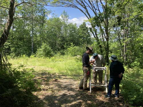 Three researchers look at a soil sifter. They gather under a tree near a field by the woods.