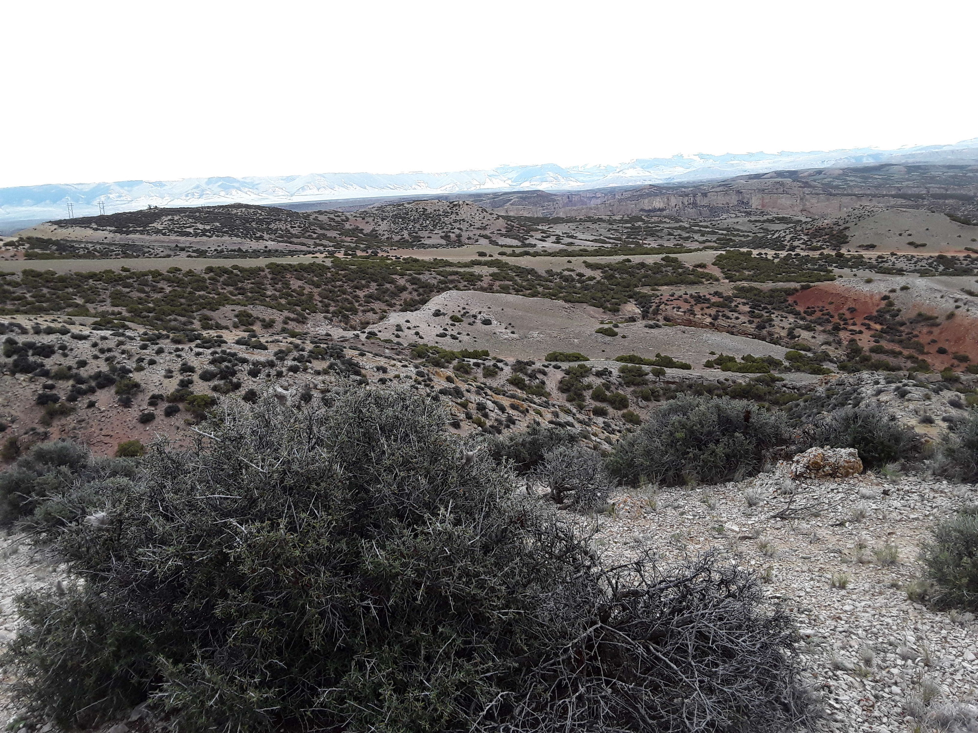 Image of the vegetation and landscape at photo point in Bighorn Canyon NRA 