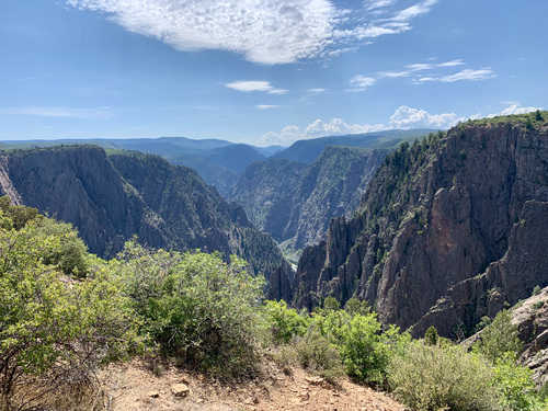 View looking up canyon on sunny day with greenery in foreground