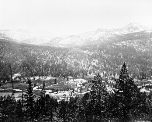 Copied from originals loaned by Francis P. Farquhar