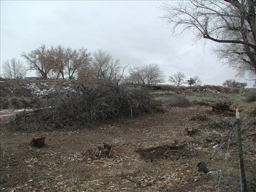 Hubbell Trading Post Exotic Species Pile Burning, February 2002