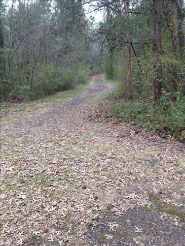 Trail Construction PLC Projects