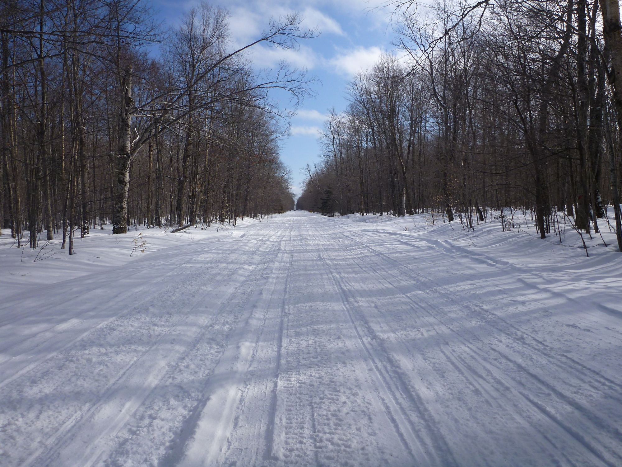 Snow-covered road through the woods.