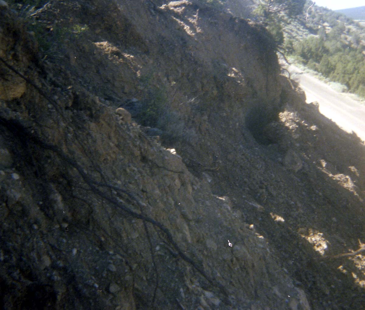 Color Photos of rock slides in Kolob Canyon.