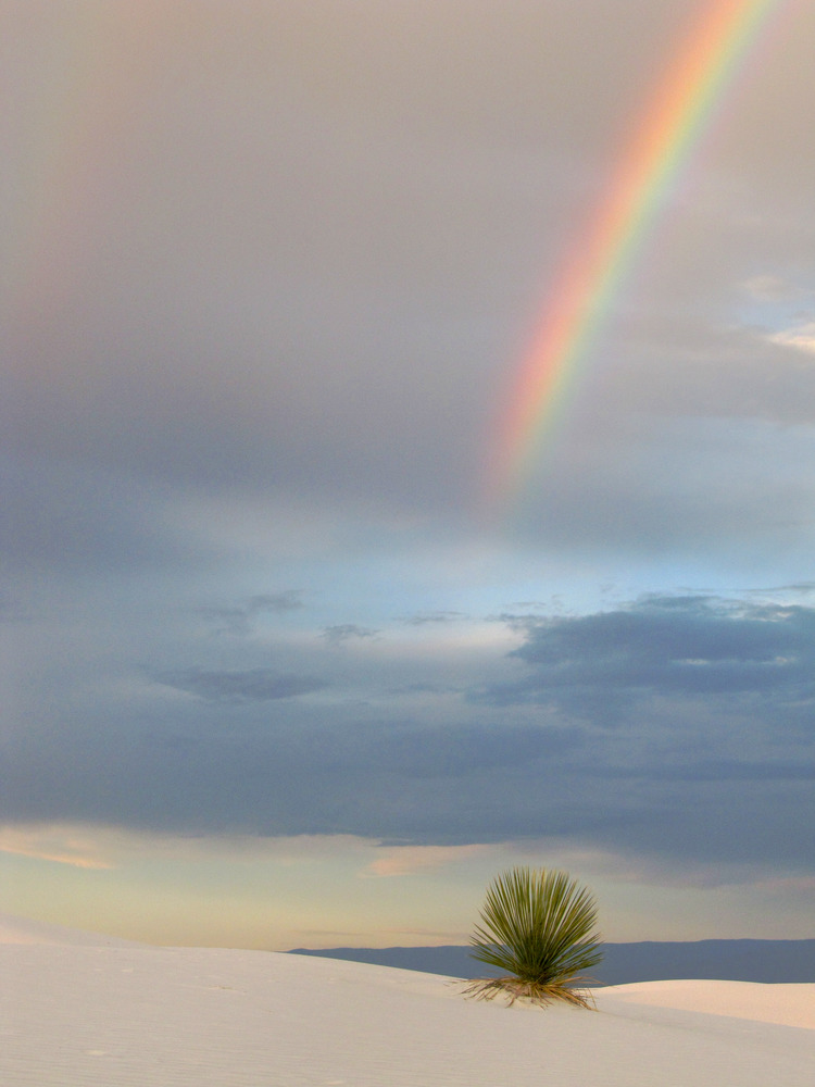 The end of a rainbow shines in a cloudy sky over white sand dunes. 