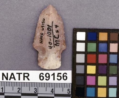 NATR   69156 -- Untyped projectile point