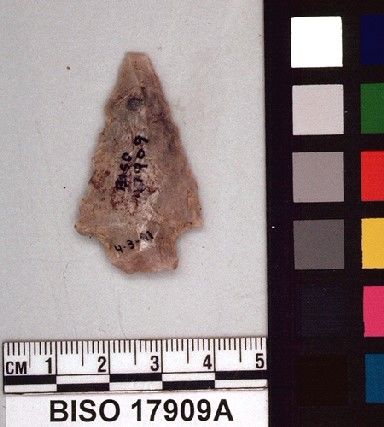 BISO   17909 -- Point, Projectile