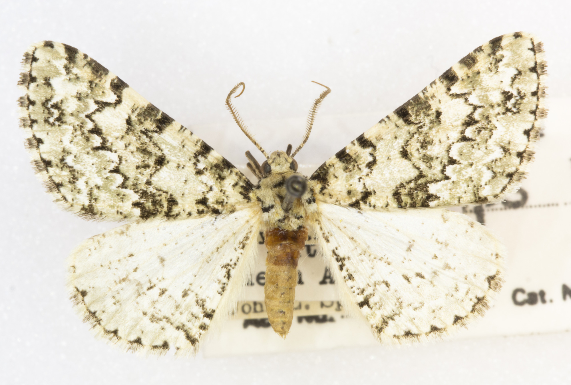 Grand Canyon Museum Collection
Address: 2 Albright Ave, Grand Canyon Village, AZ 86023
Phone: (928) 638-7769
https://www.nps.gov/common/utilities/sendmail/sendemail.cfm?o=6CB7F89AA2FEBAAF91AE1E90DA18A7A1439E528653B8AC914F0CE08011C0&r=/grca/learn/historyculture/muscol.htm