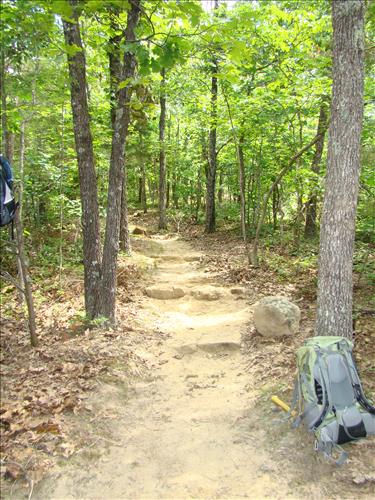 Ice Damage Trails FY09