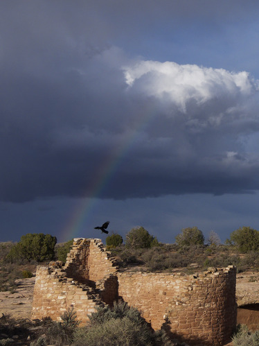 A raven flying over a sandstone structure with storm clouds and a rainbow in the background.