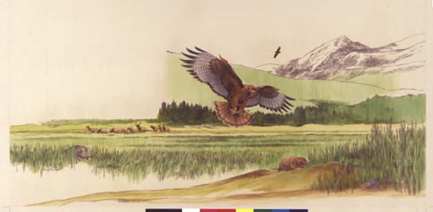 Scene depicts an oblique view of a mountain meadow recreating the forested moraine