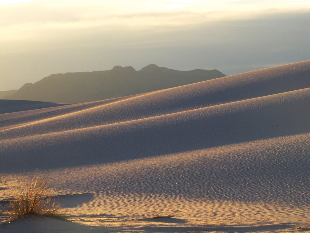 The light of the sunrise catches the high points of the undulating dunes and illuminates them in a deep yellow color. The mountains stand tall in the background.