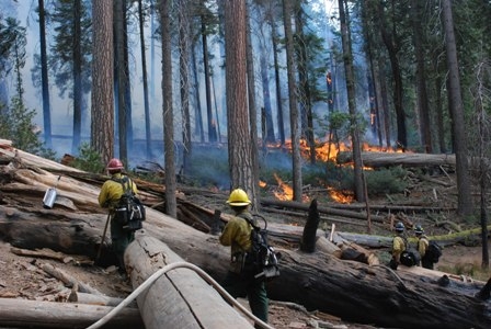 Yosemite fire staff monitoring the fireline