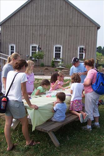 Junior Ranger, Butterfly's Breakfast, Crafts