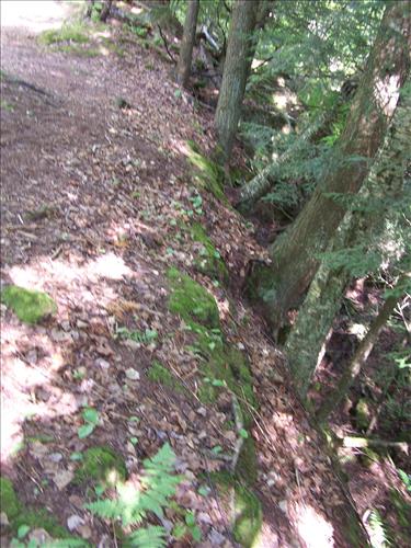 Trail Upgrade Stockton Island Quarry Bay Trail 08/11/2009