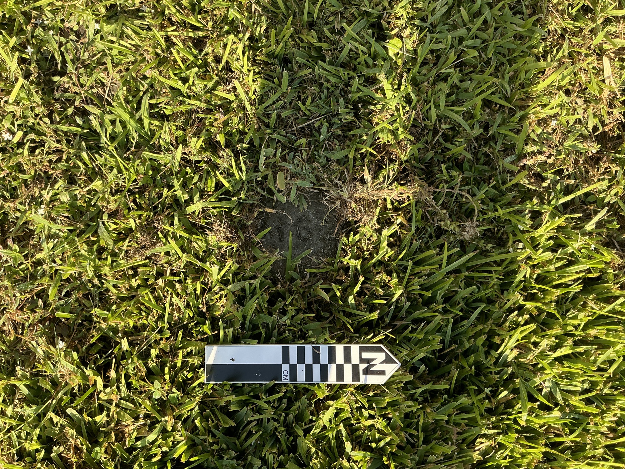 Extra image of flat marble marker