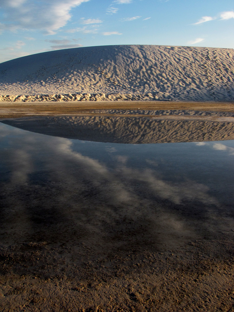 Rainwater Reflections
