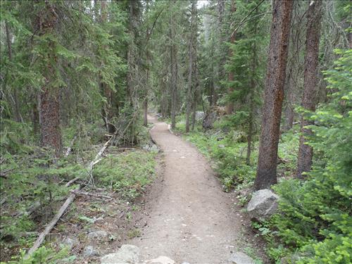 2012 Trail Project Completion Photo's