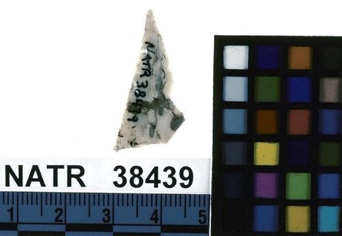 NATR   38439 -- Late Woodland / Miss Triangular Cluster projectile point