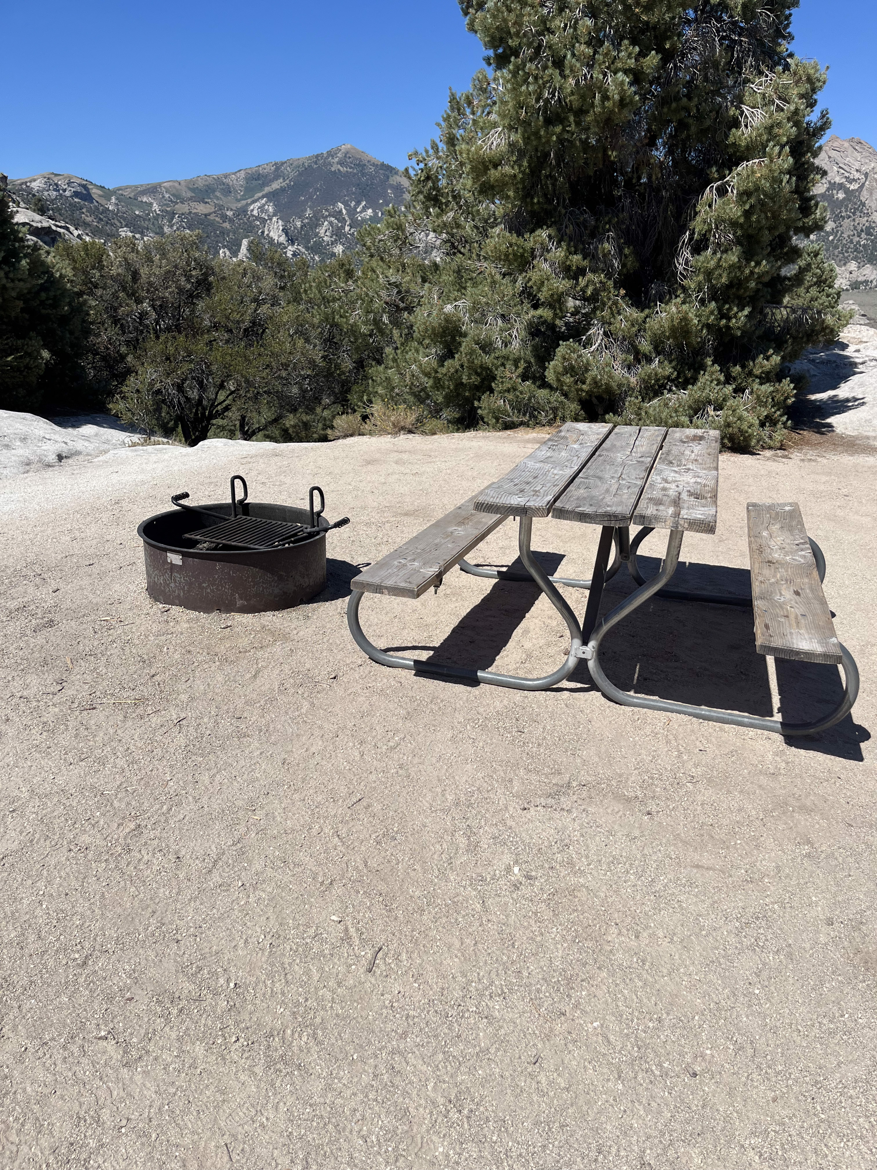 Campsite 14 Elements. Fire ring and picnic table on an open ridge surrounded by trees and mountains beyond.