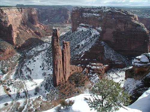 Exotic Species Removal Planning at Canyon de Chelly National Monument, Chinle, AZ - View at Spider Rock Overlook