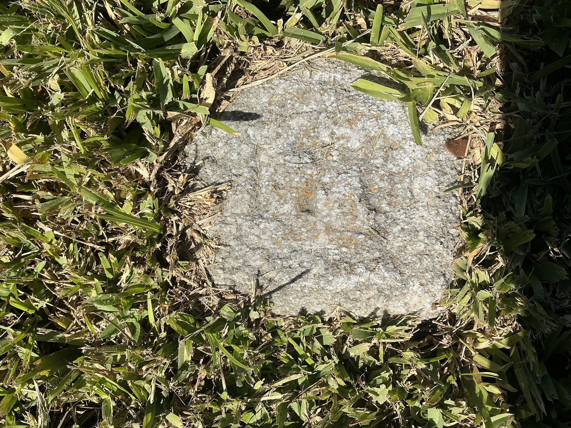 Top of flat marble marker