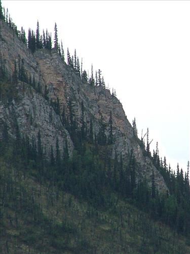 6 Yukon-Charley Rivers National Preserve Peregrine Falcon Survey July 2006
