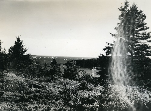 SAILBOAT RACES FROM ASTICOU TERRACES