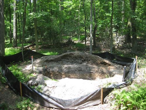 GREE--Azalea Trail Replace 15" Bridge at Greenbelt Park, January 1, 2009