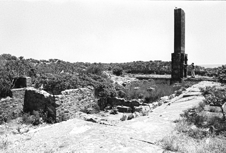 Ruins of Julia Arthur's summer mansion on Calf Island. (Olmsted Center for Landscape Preservation Boston Harbor Islands Cultural Landscape Report.)