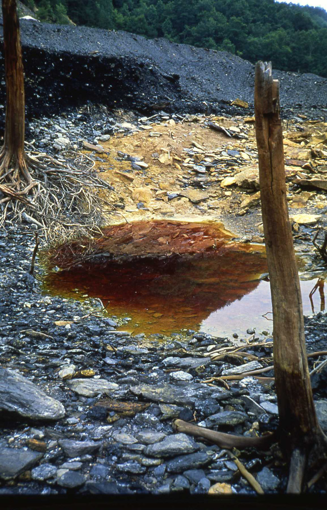 pond of contaminated water