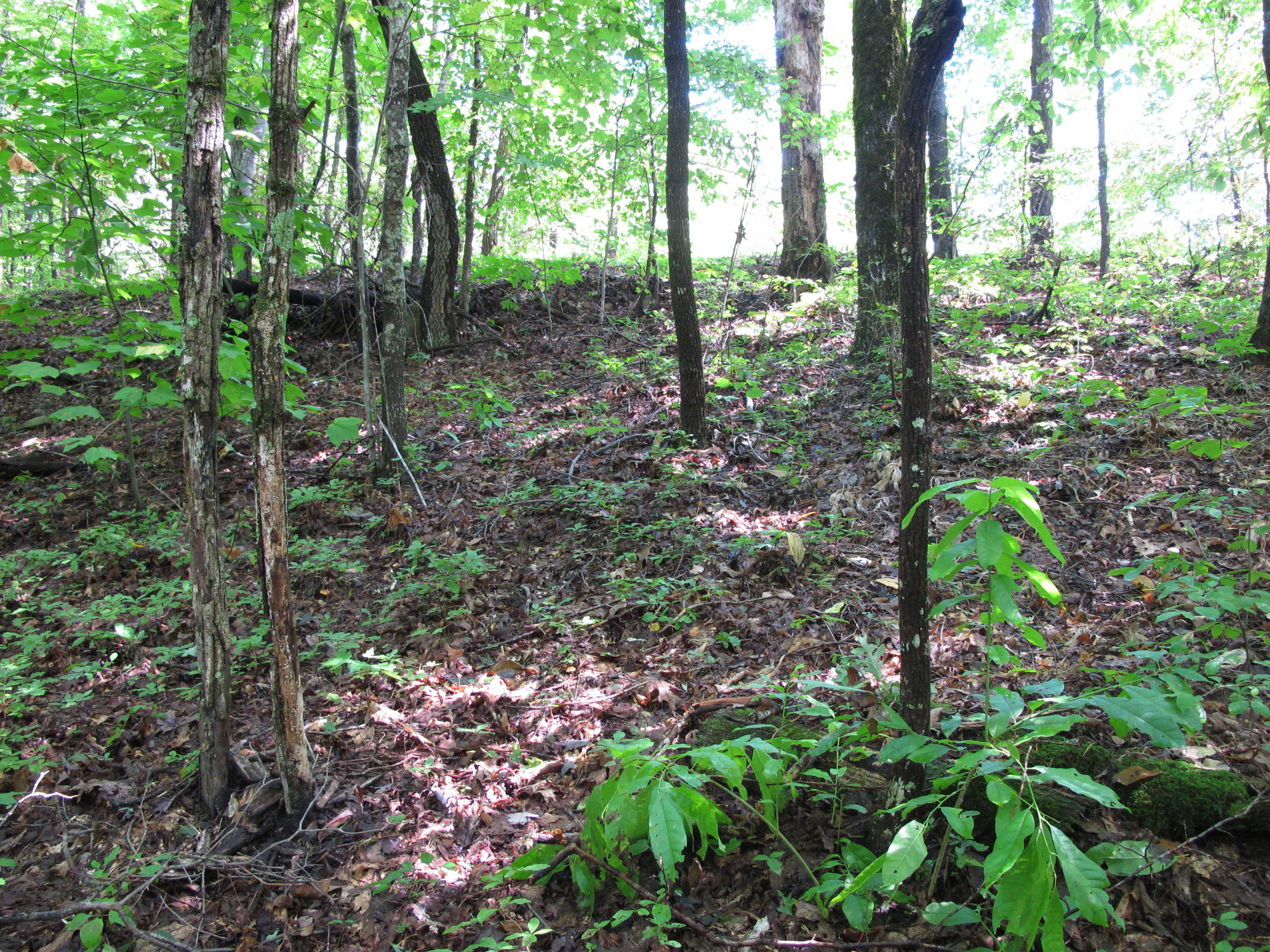 GRSM Accuracy Assessment. Plot Code: GRSM_AA_0514_3