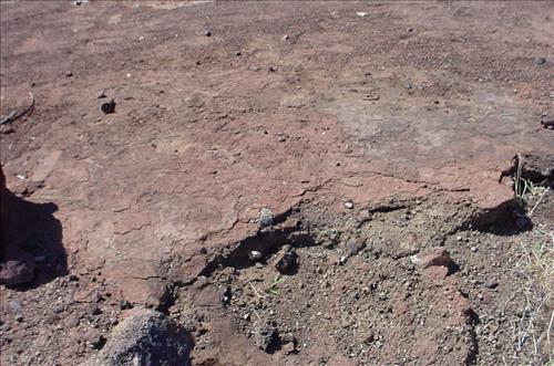 Fuel Contamination at Aiken Mine in Sept 05 & April 06