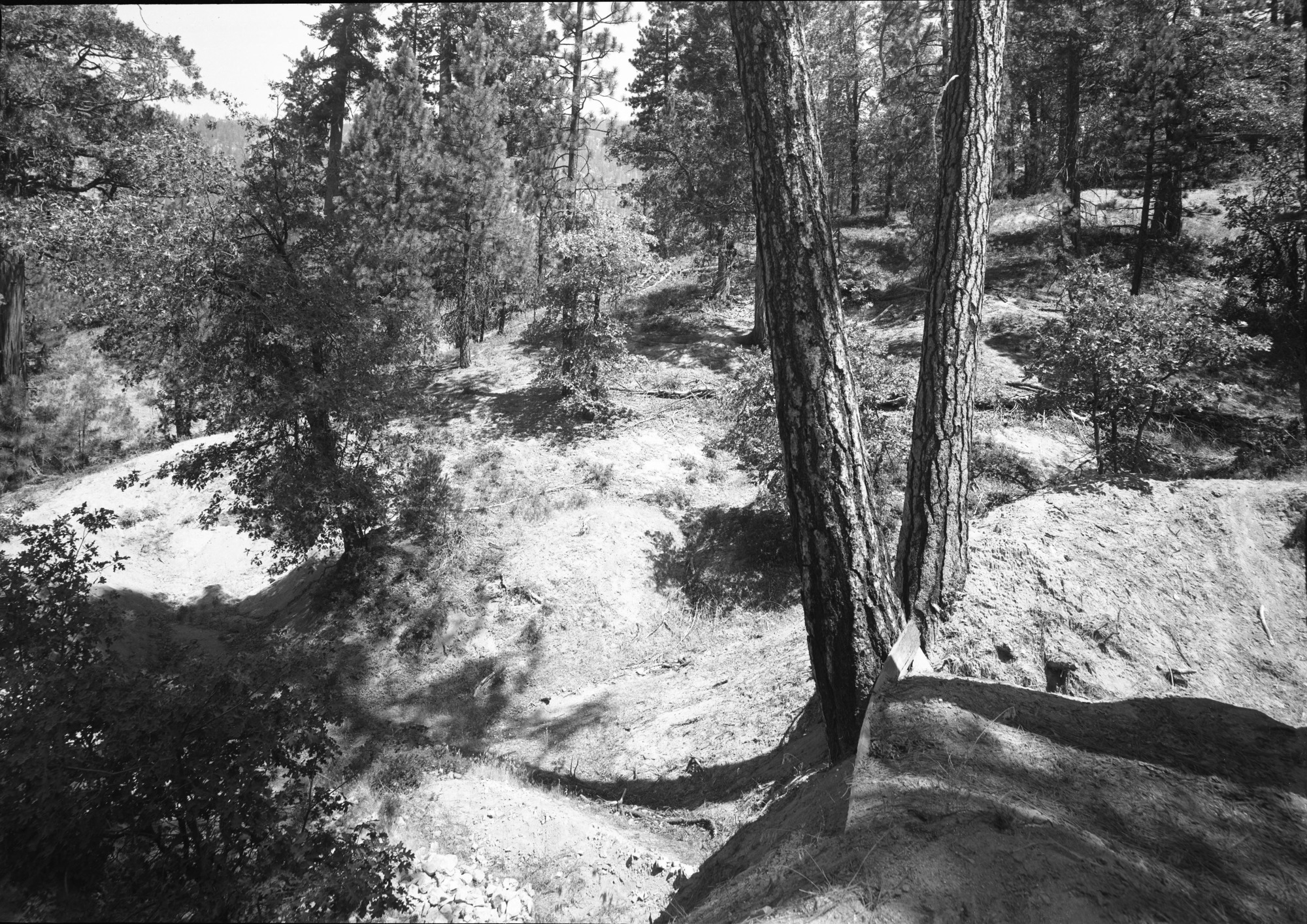 Mining claim, Wawona.