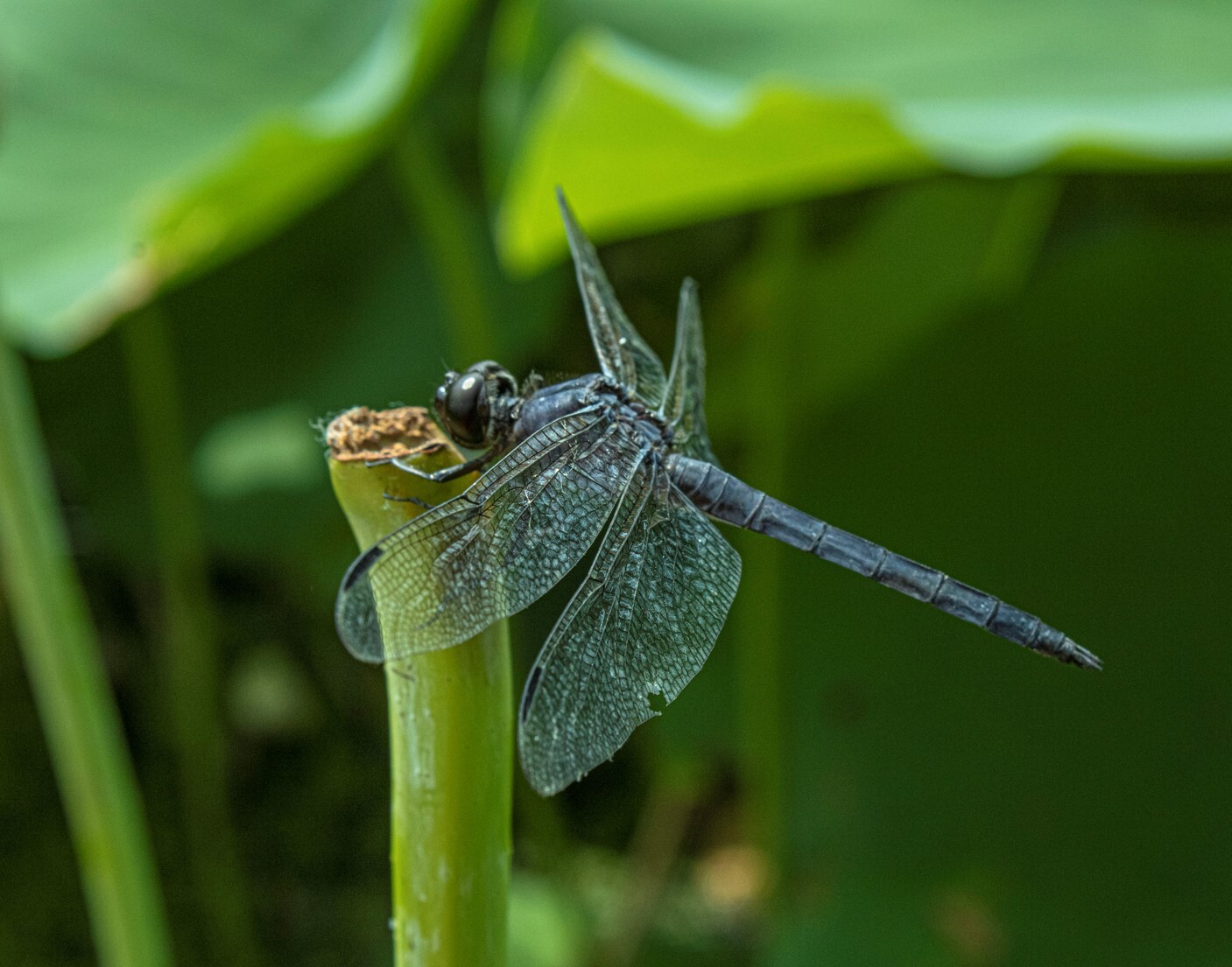 Experiencing National Parks Through the Lens of Youth