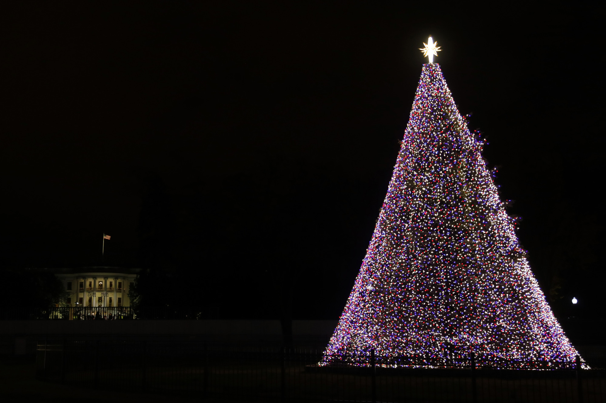 The lit National Christmas Tree with the White House in the background. The National Christmas Tree is decorated with red, white and blue lights. There is a star on top of the tree. 