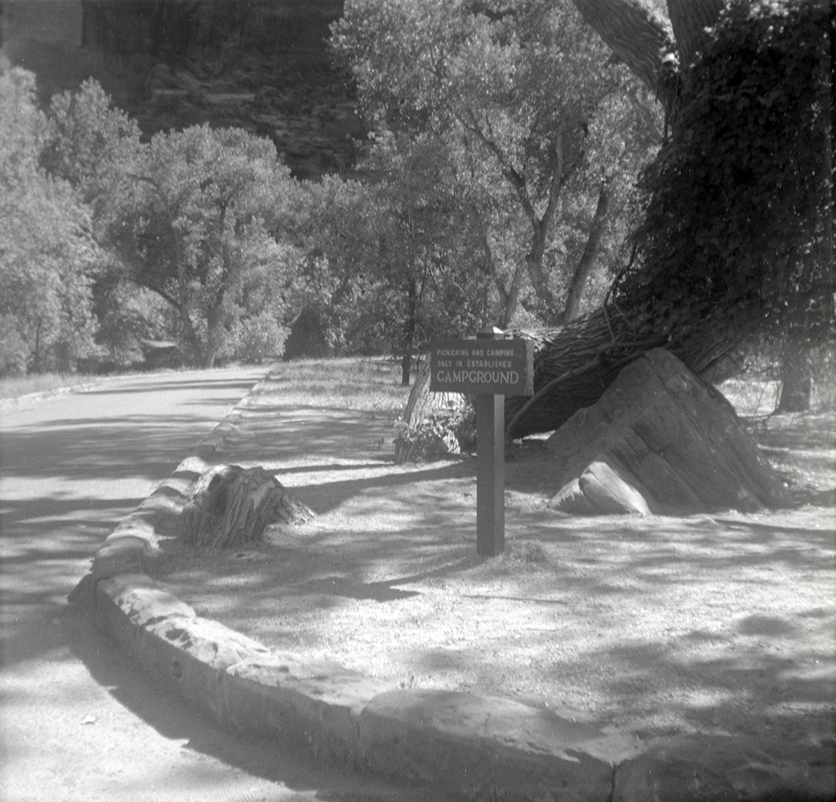 Sign stating 'Picnicking and camping only in established campground' near the Grotto.