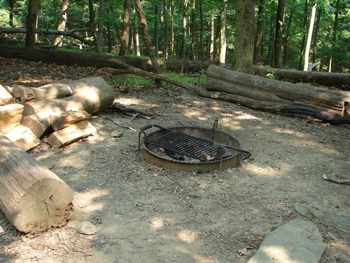A combination campfire pit and cooking grill is available at each cabin in Camp Misty Mount. 