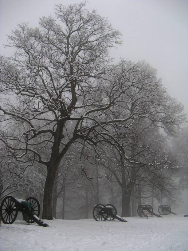 Line of cannons in Bragg Reservation